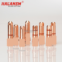 Halansm, Electrodo de Plata de Calidad Original China, Tipo Plasma, Larga Vida Útil, Boquilla 220629, Protector 220632, Ceniza Volcánica 220636