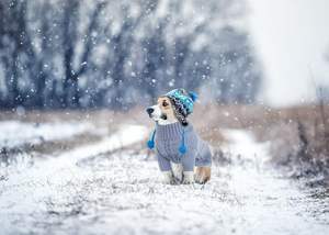 Pullover Dog Hemp Turtleneck rajut Sweater hewan peliharaan lucu gaya olahraga dengan XS-XL pola hewan Solid bergaris - Product Image 4