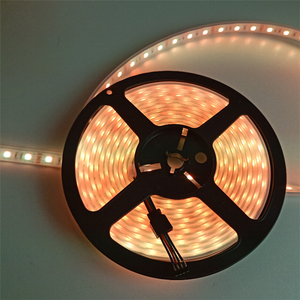 Bande lumineuse RGB <span class=keywords><strong>LED</strong></span> pour l'extérieur, <span class=keywords><strong>ruban</strong></span> d'éclairage étanche, Flexible, pour cuisine, chambre à coucher, jardin, sous-meuble, 12V DC, Hallwa - Product Image 4