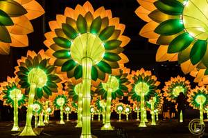 ไฟวันหยุดใหญ่โคมไฟ<span class=keywords><strong>สวน</strong></span>สัตว์กลางแจ้งแสดงผลสวนพฤกษศาสตร์ไฟวันหยุดผู้ผลิตออกแบบได้ตามต้องการ - Product Image 3