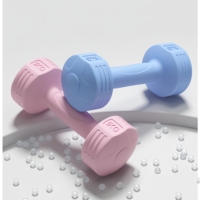 Haltères CZFIT pour femmes, équipement de fitness pour la maison, haltères pour hommes, entraînement des bras, kettlebells, yoga, petits haltères