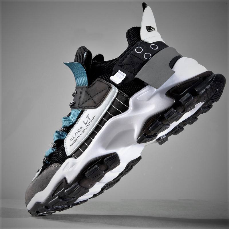 ดวงจันทร์สีดำ