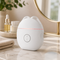 Appareil de massage électrique Gua Sha pour le visage, lifting et beauté, marque privée EMS, pour un massage Guasha relaxant