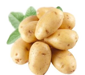 China Salado Liofilizado Frito Largo Patatas fritas Palo Contenido vegetal Estilo seco Snack Patata Tiras Bolsa de alta calidad - Product Image 6