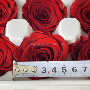 Teste di Rosa Essiccate Eterne 4-6cm Fiore Naturale per San Valentino Fai-da-Te Ecologico Lunga Durata 3-5 Anni Fiore Preservato - Product Image 3