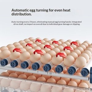 Incubadora de Huevos Automática con Control Digital de Temperatura y Volteo Automático para Incubar Huevos de Gallina, Pato, Codorniz, <span class=keywords><strong>Paloma</strong></span> y Ganso, para Uso Doméstico - Product Image 3