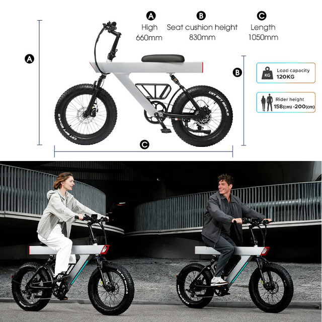 Second Hand Electric Bicycle for Sale Second Hand Electric Bicycle for Sale