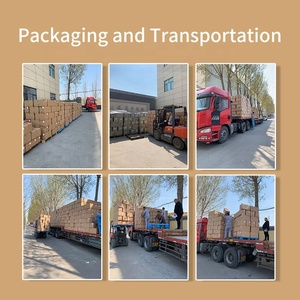 Adesivo Térmico Descartável de Uso Único para Aquecimento Rápido em Kits de Emergência de Sobrevivência ao Ar Livre no Inverno - Aquecedor de Costas - Product Image 3