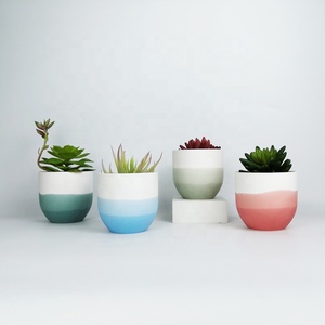 Pots pression atatatatuclower lower OTS mmmucucucucucucucculent OTS en POTS ulk eeauty aTiX IX leglegant Lant - Product Image 3