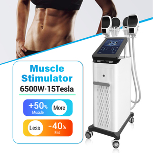 Appareil de remodelage corporel Tesla à 4 poignées, 6500W, pour raffermissement cutané et stimulation musculaire, avec option pour le plancher pelvien - Product Image 1