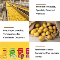 Croustilles de pommes de terre sans gluten, halal, personnalisées, multi-saveurs, faibles en calories et riches en protéines