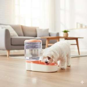 Distributeur d'eau automatique Yommy pour chiens et chats, gris et orange, fontaine à eau pour animaux de compagnie - Product Image 2