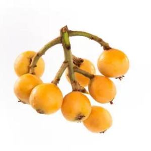 ผงโลควอท, ผงผลไม้ธรรมชาติ, วัตถุดิบพิเศษสำหรับเครื่องดื่มและเบเกอรี่ - Product Image 3