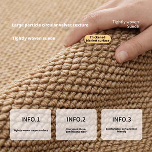 Alfombras de Coche de Estilo Nórdico Retro, Hechas a Máquina, con Bucle, Alfombra Moderna para el Hogar, Resistente a la Suciedad, Antideslizante, Venta al Por Mayor - Product Image 2