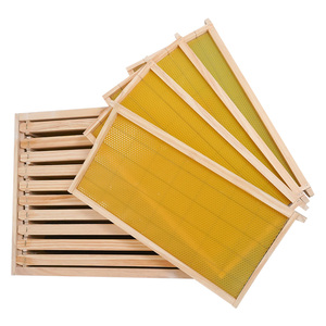 Ruche pour les abeilles Ruches d'abeilles australiennes complètes - Product Image 1