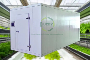 Container NFT Hydroponic Farm Smart Vertical Farming Shipping Container Farm Small <b>Greenhouse</b> Hydroponic Lettuce Growing System - Product Image 6