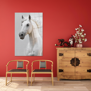 Elegant White Horse <b>Canvas</b> Print: Stunning Animal <b>Wall</b> Decor,TEMPERED GLASS ART - Product Image 3