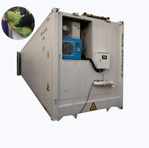 Machine hydroponique de fourrage utilisant l'énergie solaire bovin et mouton machine de culture de fourrage vert Système de culture hydroponique en conteneurs - Product Image 4