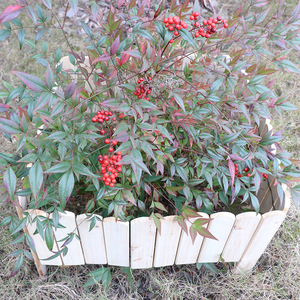 Bordure de clôture de jardin en bois bordure en bois fleur d'arbre - Product Image 4