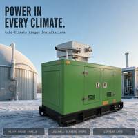 Groupe électrogène industriel avec tendeur de courroie et tarifs progressifs, générateur diesel 6 cylindres