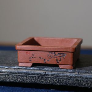 Maceta Cuadrada de Arcilla Púrpura para Bonsái en Miniatura, Grabada con Diseño Su Bing, Arcilla Verde, Maceta de Escritorio para Bonsái, Maceta de Artista Famoso - Product Image 3