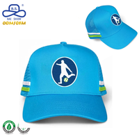 Gorras Trucker Deportivas de Malla con Estampado de Jugador de Fútbol Azul Brillante, Estilo Outdoor, con Ribete a Rayas para Hombre, OEM ODM