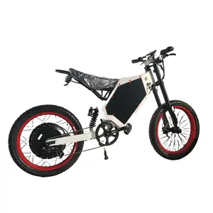 Perfect Design elektrisches Dirtbike Premium-Elektro-Offroad-Bike bietet Upgrades stehlen th Bomber Elektrofahrrad