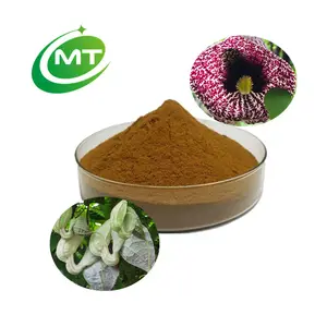 ISO Free Sample High Quality 100% Organic Duck Flower (Aristolochia Grandiflora) Extract Powder 10:1 Brown Yellow Powder Bulk