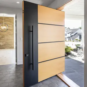 Modern simple atmosphere solid wood pivot door