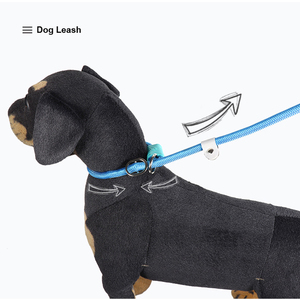 2026 NEW Fashion Walking Training <b>Tool</b> Durable Pet Leash Comfortable Padded Handle Slip Lead Adjustable Nylon Dog Rope Leash - Product Image 3