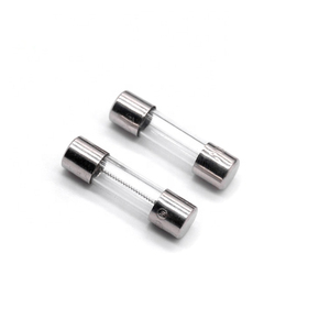 6X(10 Pieces AC 250V 15A 6x30mm Coup Cylindrique Fusibles De Tube