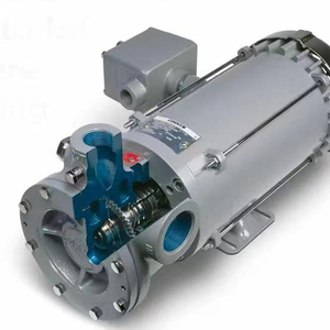 ปั๊ม NPT 1" ปั๊มถ่ายโอน ปั๊มเติม LPG-B50 ปั๊มแก๊สเหลวแบบพกพา ปั๊มใบพัดกำลังต่ำ มอเตอร์ธรรมดา LPG-B50 - Product Image 1