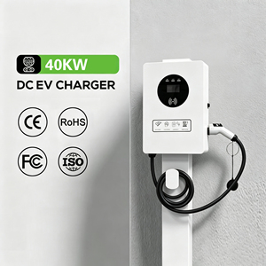 Nouveau chargeur rapide CCS2 DC 20 kW 40 kW 60 kW pour station <span class=keywords><strong>de</strong></span> <span class=keywords><strong>recharge</strong></span> <span class=keywords><strong>de</strong></span> voitures électriques - Product Image 3