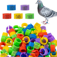 Bagues de patte de poulet numérotées au laser 001-100, très vendues, durables, étanches, en plastique, pour l'identification et le suivi de la volaille