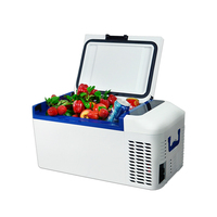 Réfrigérateur Portable pour voiture, 20 l, 12v, glacière pour véhicule ou Camping, pour usage domestique