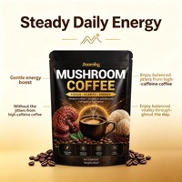 Poudre de café aux champignons bien-être en gros avec marque privée – Mélange énergétique et supplément