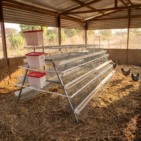 Cage à poules pondeuses de type A, galvanisée, automatique, à 3 ou 4 niveaux, pour ferme avicole moderne, design haut de gamme
