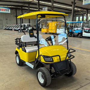 <span class=keywords><strong>Prix</strong></span> d'usine Voiturette de golf électrique <span class=keywords><strong>2</strong></span> places avec moteur Buggy en acier 3,5 kw et batterie 60V certifiée CE en vente - Product Image 2