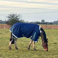 Couverture d'écurie imperméable pour chevaux, en coton, rembourrage chaud, hiver, tissu ripstop, vente en gros