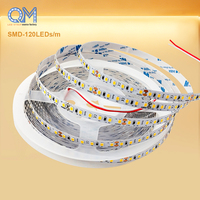 Bande lumineuse LED intelligente flexible SMD2835 12V personnalisée 120/240D 5MM 8MM 10000K 6000K 4000K 3000K
