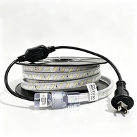 Bande lumineuse LED étanche AC230V AC110V 50M SMD2835, flexible, en PVC, avec options de prises US, EU, UK