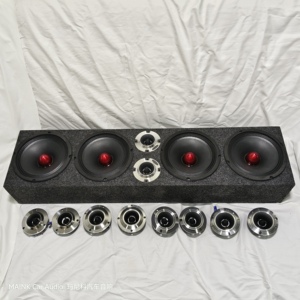 Double haut-parleur actionné portatif professionnel de voiture de 8 pouces pour l'équipement son commercial d'événements d'intérieur extérieurs - Product Image 5