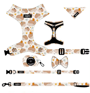 Arnés Ligero para Perro con Diseño Floral Jacquard y Collar Ajustable Suave con Sublimación, Conjunto de Arnés y Collar para Perro, Accesorios para Gatos y Dachshunds - Product Image 2