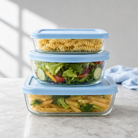 Boîte à lunch rectangulaire en verre borosilicate de 820 ml, sans BPA, résistante à la chaleur, pour nouveau-né, avec couvercle, compatible four, conteneur bento, fournie par l'usine