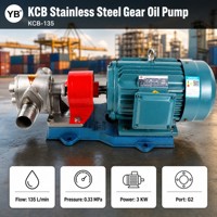 KCB 135 Selbstansaugende Zahnradölpumpe 135 LPM 0,33 MPa 3 KW 304 Edelstahl Zahnrad Korrosionsbeständige Ölübertragungspumpe