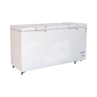 Congélateur Coffre Horizontal Double Porte Commercial pour Supermarché