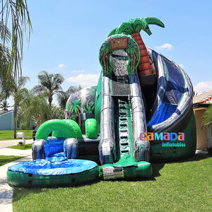 Açık büyük 24ft Jungle Falls su kaydırakları satılık şişme islak n kuru slayt yetişkinler çocuklar kavisli su kaydırağı Tobogan şişme - Product Image 3
