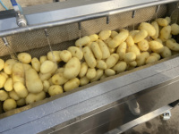 Kleine Industriële Groente Fruit Dunschiller Peeling Machine Slicer Aardappel India