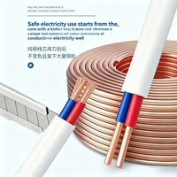 Câble souple gainé RVVB certifié sécurité 2*0.5/0.75/1.0 mm² avec isolation résistante au vieillissement pour prises domestiques