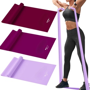 Ensemble de bandes de résistance personnalisables, bandes élastiques professionnelles - Product Image 2